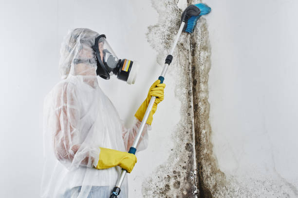 Local water damage restoration in Winchester, TN